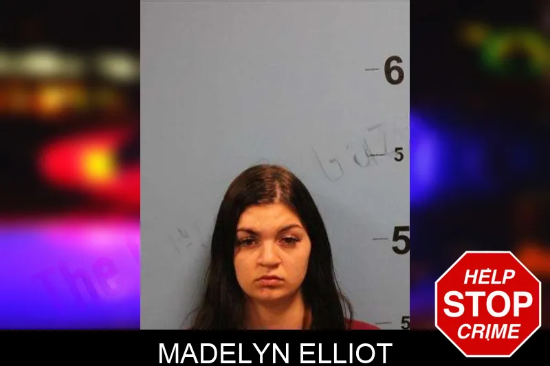 Madelyn Elliot Mugshots
