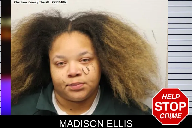 Madison Ellis mugshot – Chatham County , Georgia Madison Ellis mugshot
