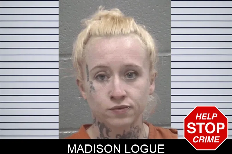 Madison Logue Mugshots