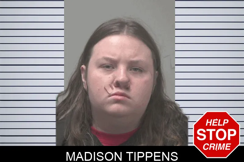 Madison Tippens Mugshots