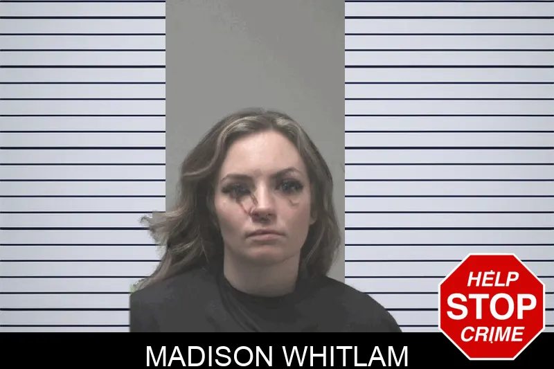 Madison Whitlam mugshot – Coweta County , Georgia Madison Whitlam mugshot