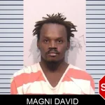 Magni David Mugshots