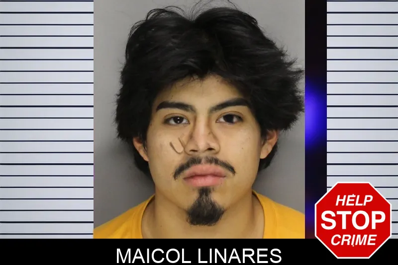 Maicol Linares Mugshots