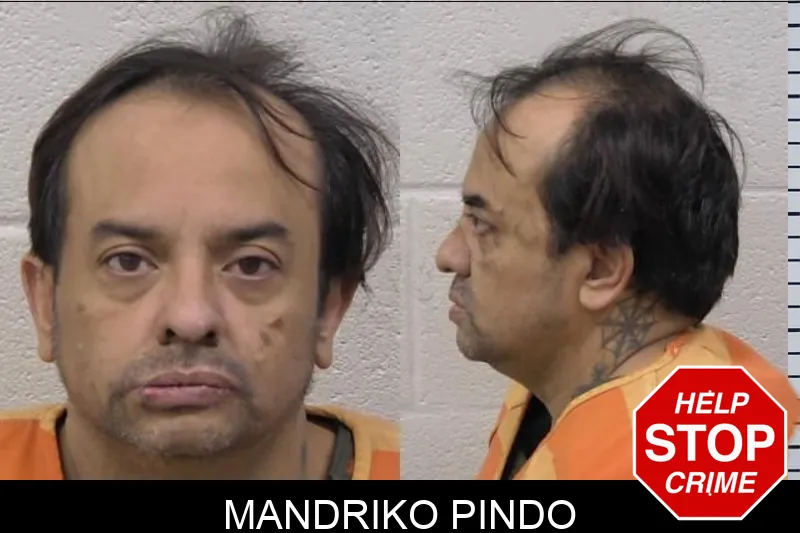 Mandriko Pindo Mugshots