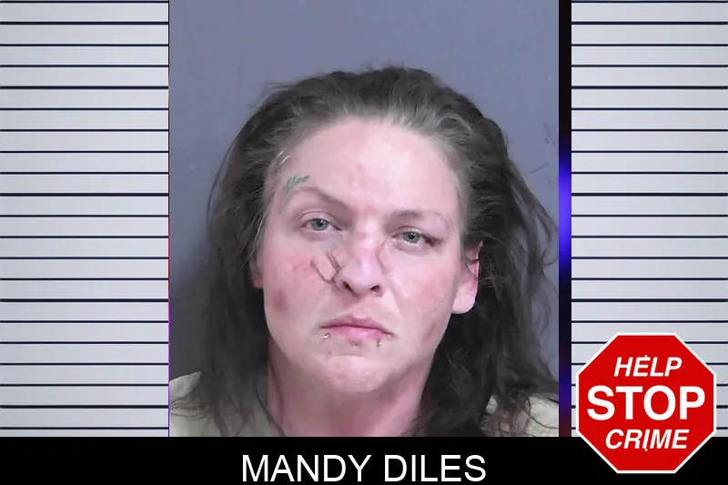 Mandy Diles Mugshots