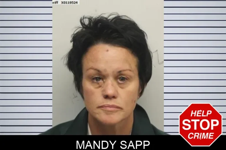 Mandy Sapp mugshot – Chatham County , Georgia Mandy Sapp