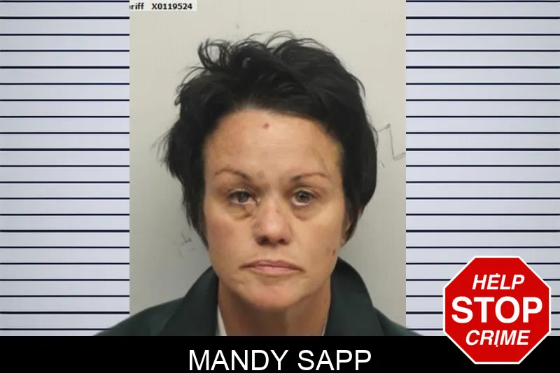 Mandy Sapp Mugshots