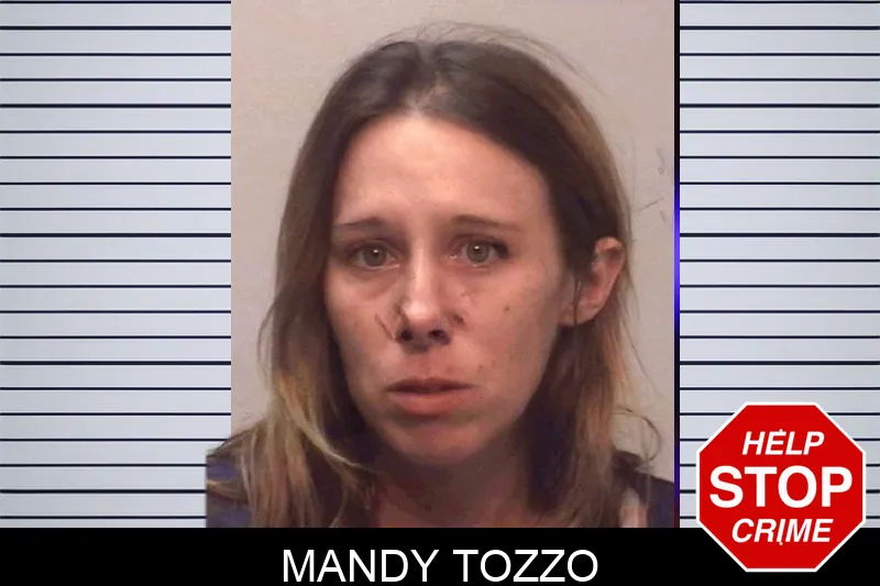 Mandy Tozzo Mugshots