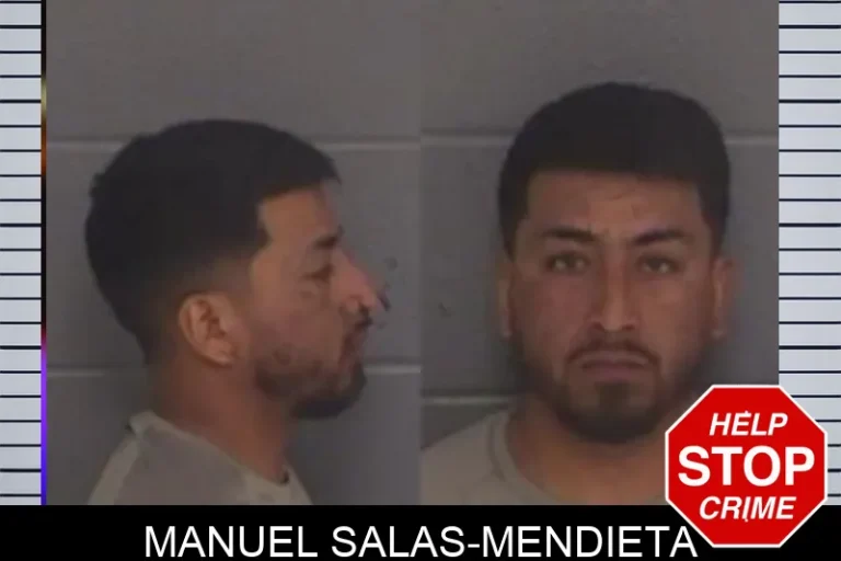 Manuel Salas-Mendieta