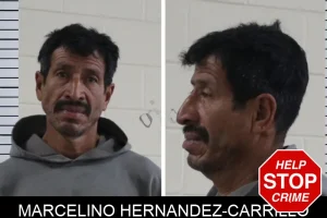 Marcelino Hernandez-Carrillo mugshot