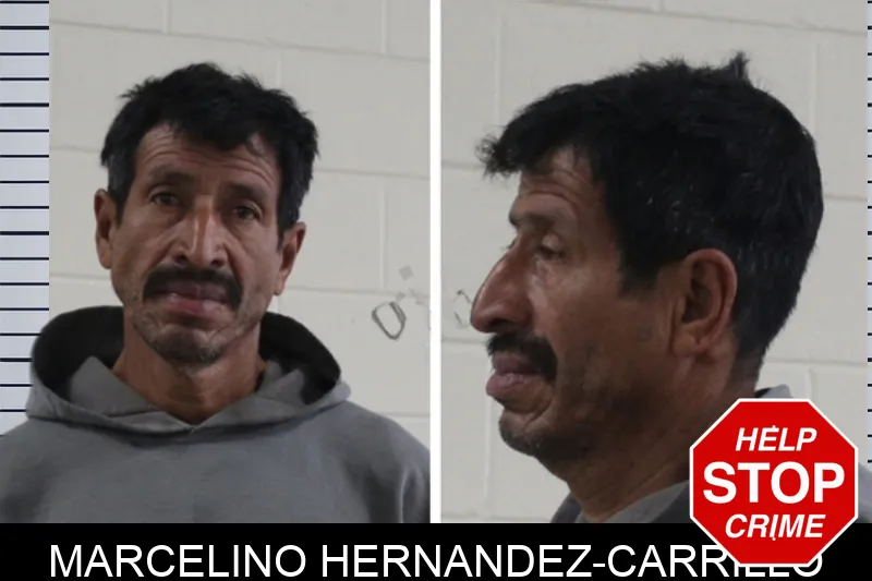 Marcelino Hernandez-Carrillo Mugshots