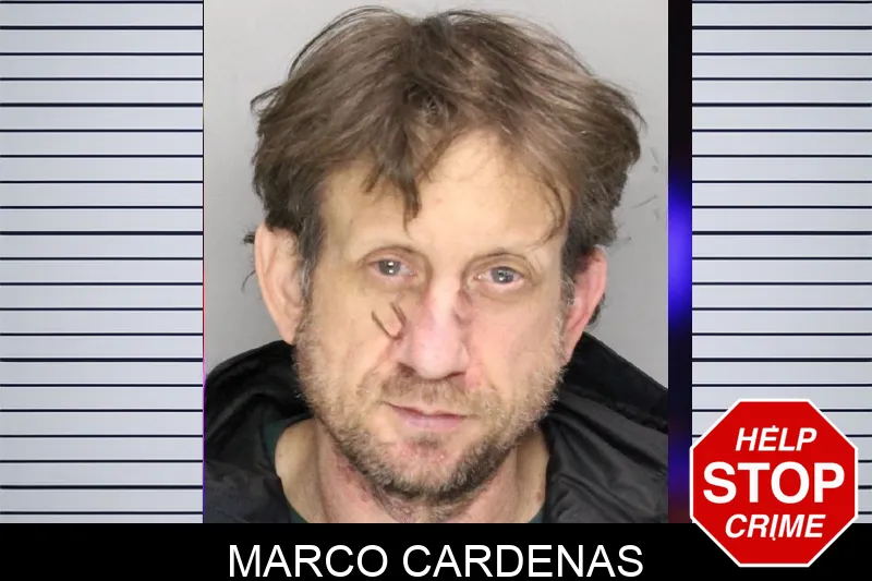 Marco Cardenas Mugshots
