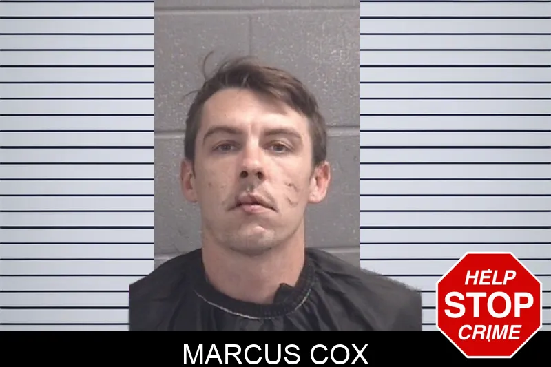 Marcus Cox Mugshots