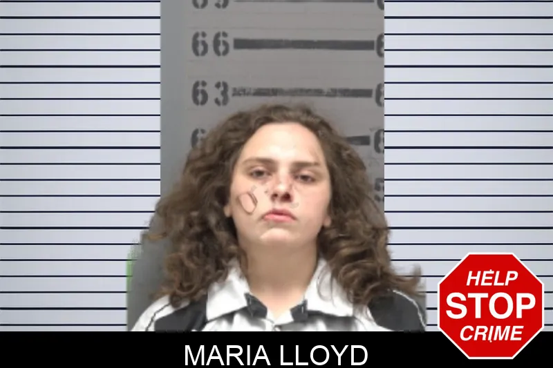 Maria Lloyd Mugshots