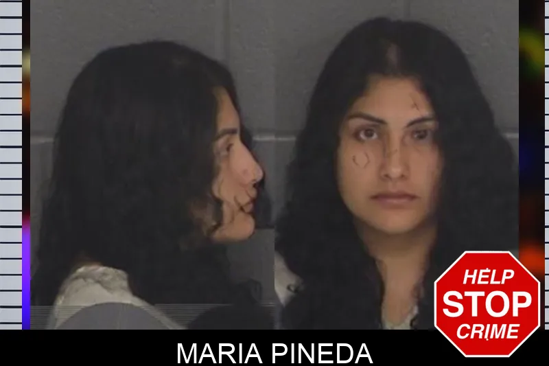 Maria Pineda Mugshots