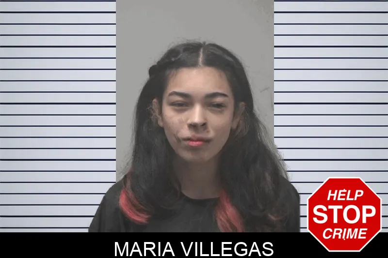 Maria Villegas Mugshots