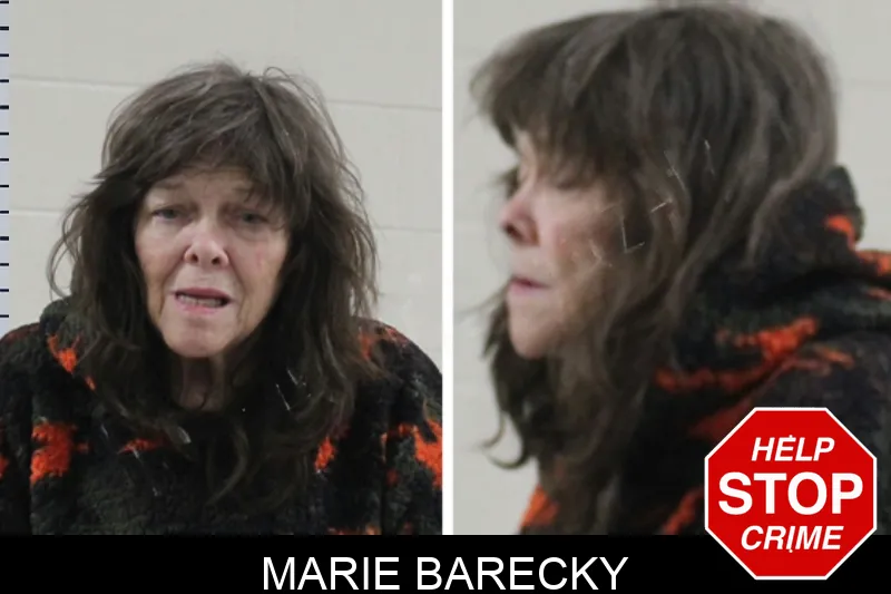 Marie Barecky Mugshots