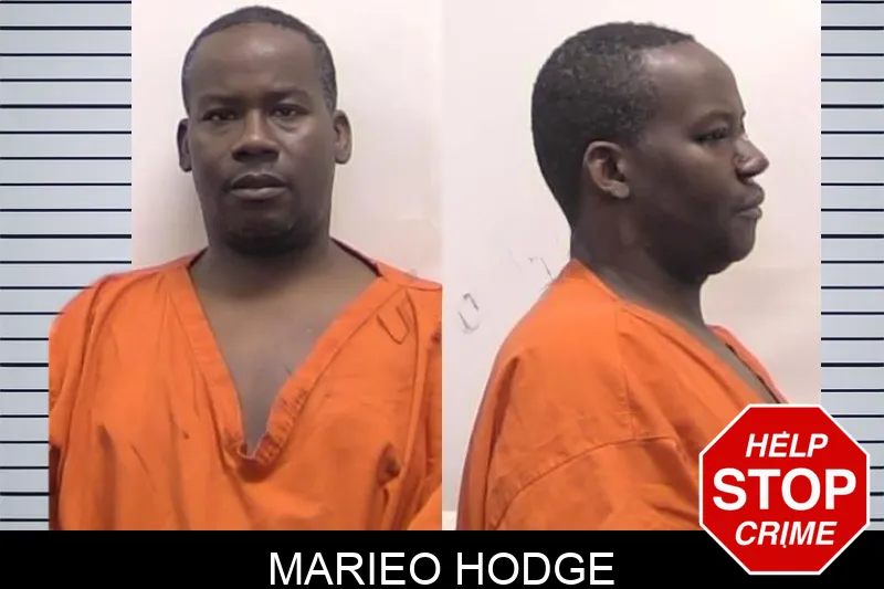 Marieo Hodge Mugshots