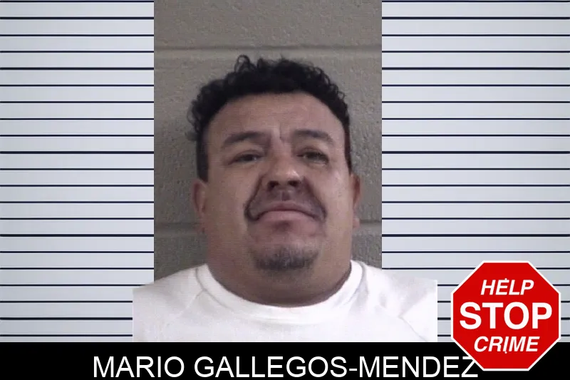 Mario Gallegos-Mendez