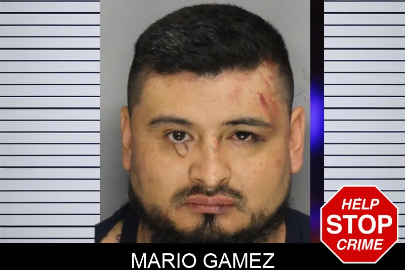 Mario Gamez Mugshots