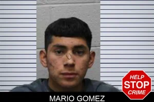 Mario Gomez mugshot