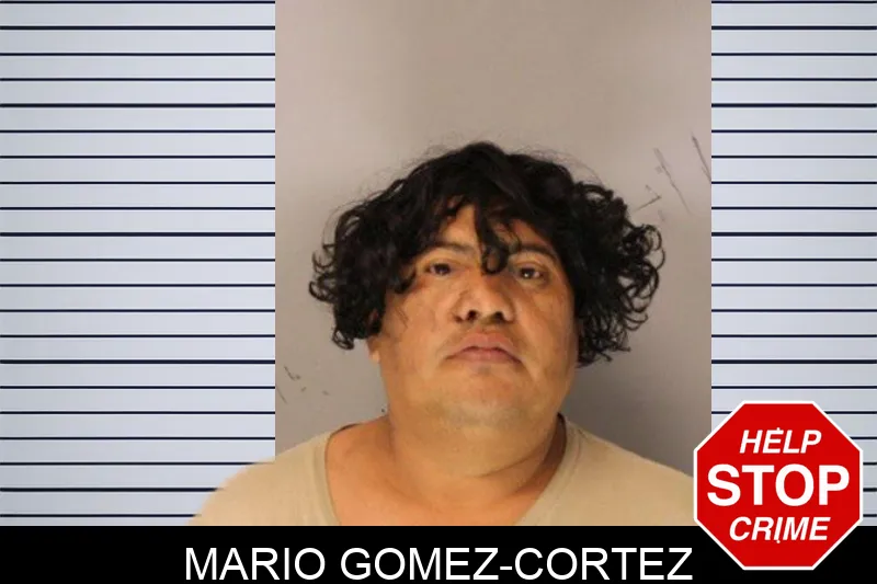 Mario Gomez-Cortez Mugshots