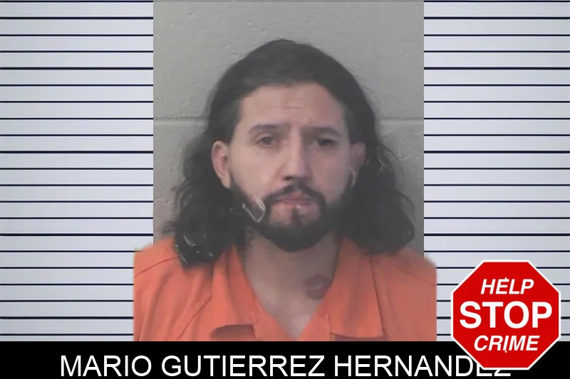 Mario Gutierrez Hernandez Mugshots