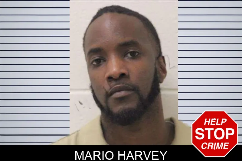 Mario Harvey Mugshots