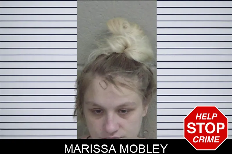 Marissa Mobley Mugshots