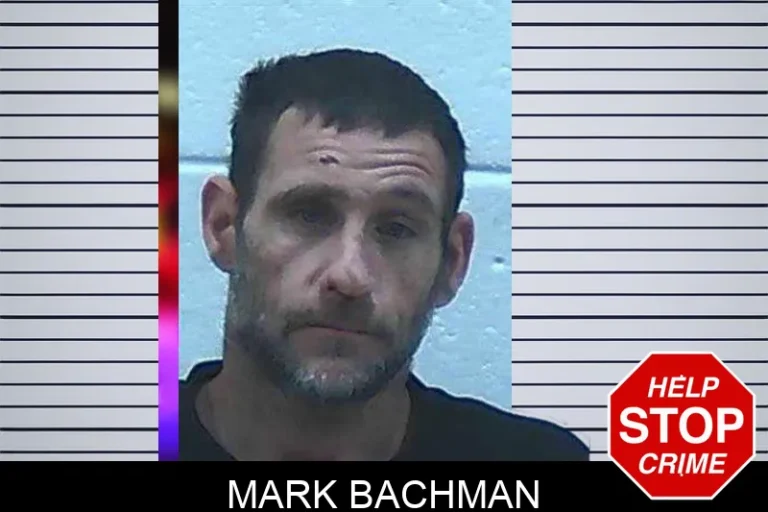 Mark Bachman