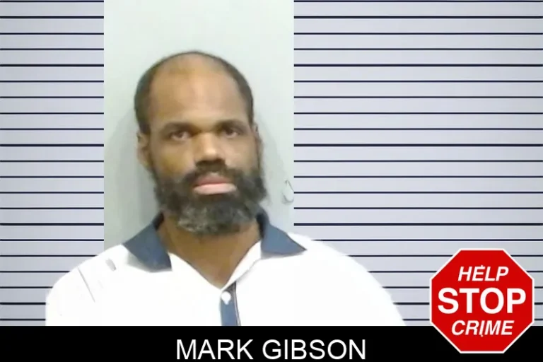 Mark Gibson