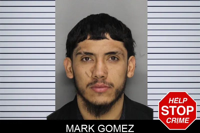 Mark Gomez Mugshots