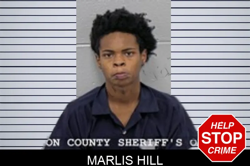 Marlis Hill Mugshots