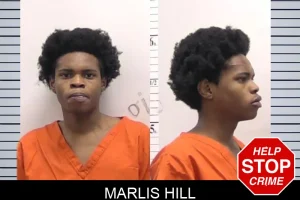 Marlis Hill mugshot