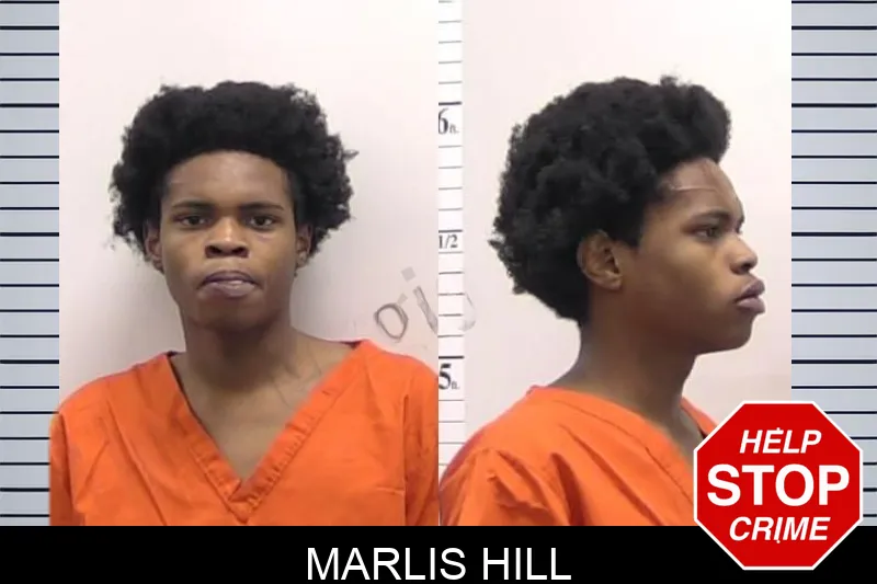 Marlis Hill Mugshots