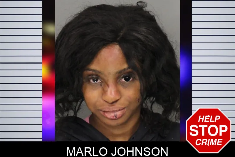 Marlo Johnson Mugshots
