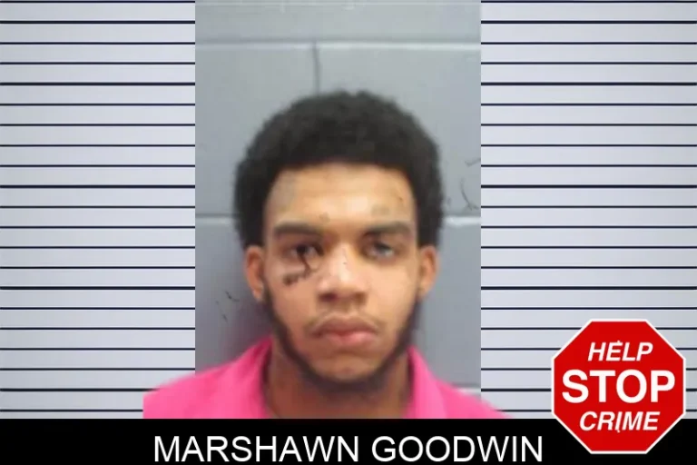 Marshawn Goodwin