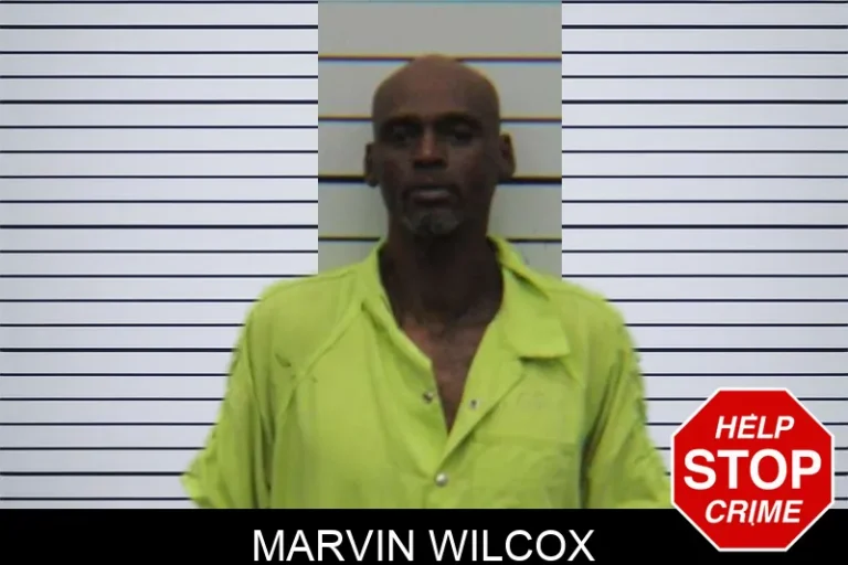 Marvin Wilcox