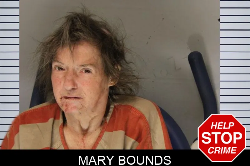 Mary Bounds Mugshots