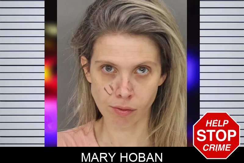 Mary Hoban mugshot