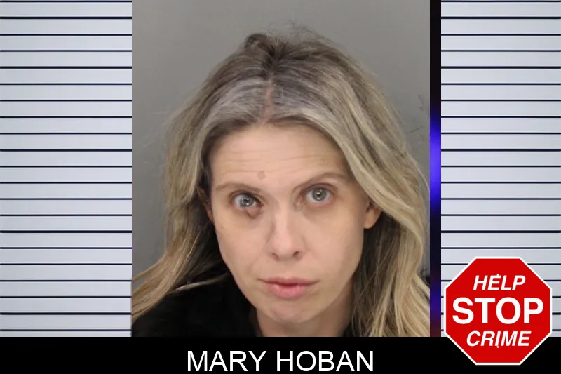 Mary Hoban Mugshots