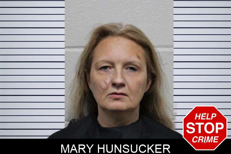 Mary Hunsucker Mugshots
