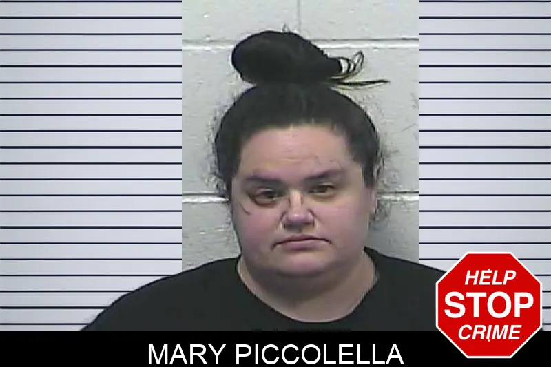 Mary Piccolella Mugshots