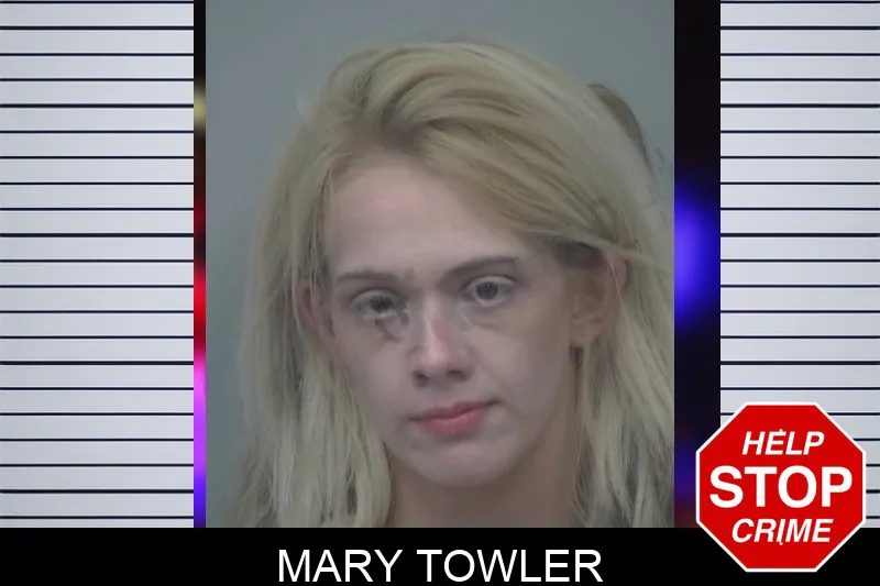 Mary Towler Mugshots