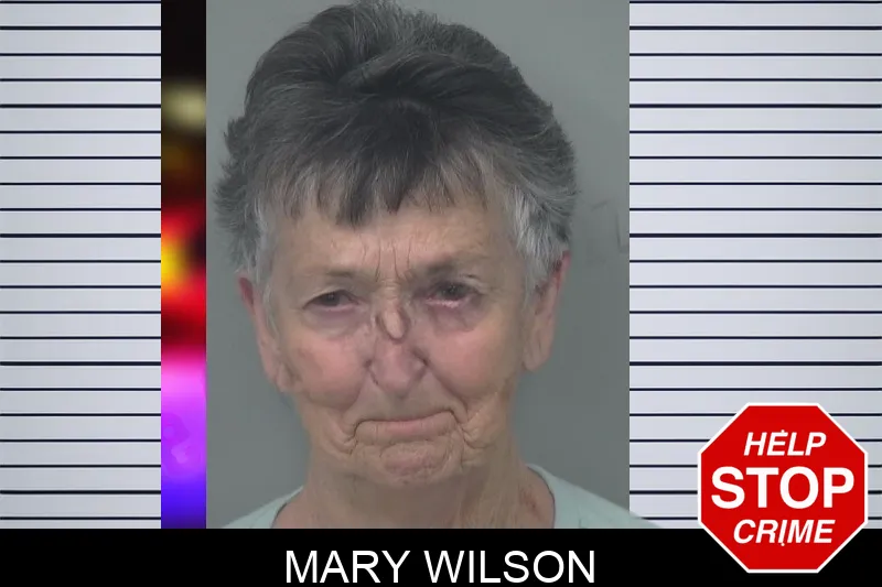 Mary Wilson Mugshots