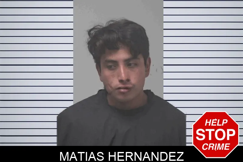 Matias Hernandez Mugshots
