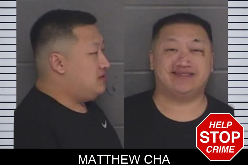 Matthew Cha Mugshots