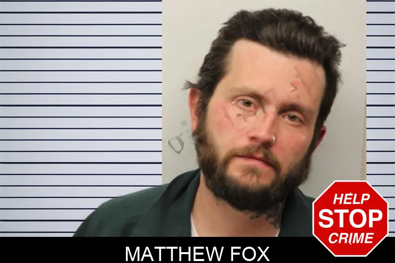 Matthew Fox mugshot
