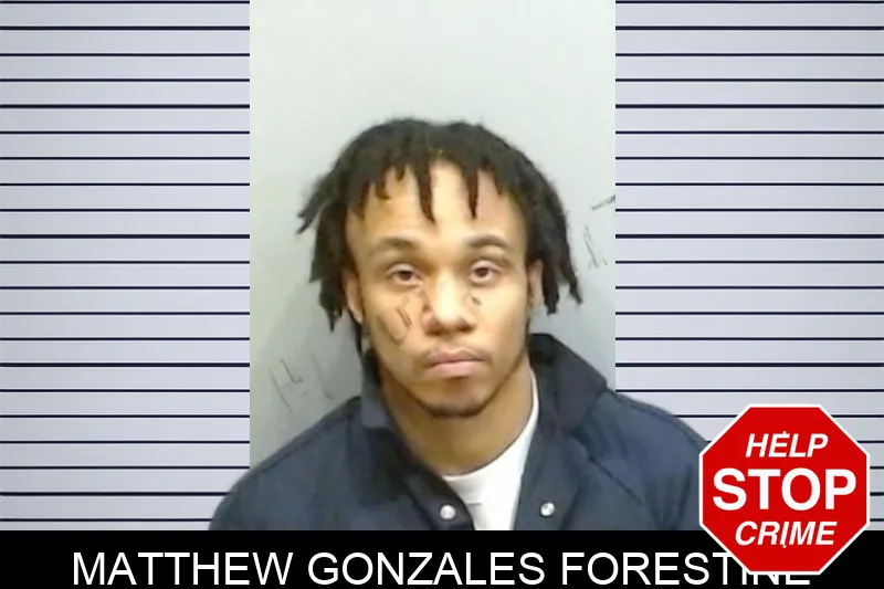 Matthew Gonzales Forestine Mugshots