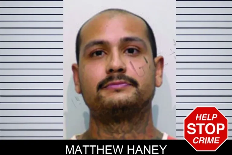 Matthew Haney mugshot – Bartow County , Georgia Matthew Haney